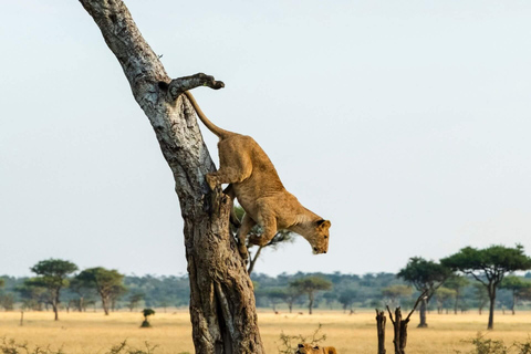 3-Day Fort Portal & Queen Elizabeth National Park Safari