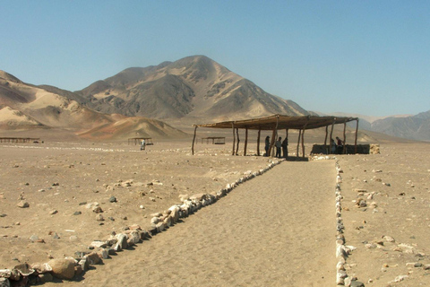 Nazca: Chauchilla Tombs - Nasca's Burial Site Journey