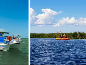 Aventure faunique à Saint Augustine : croisière et tour en kayak