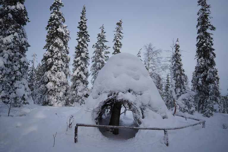 Rovaniemi: World's northernmost Roller Coaster +Riisitunturi
