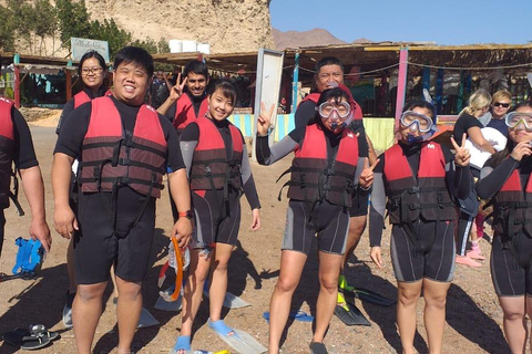 Ras Mohammed Yolanda, Sharks Observatory- Red Sea Treasures