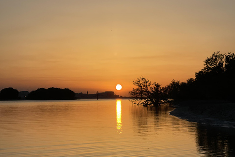 Doha : Horizons d&#039;or : Lever et coucher de soleil dans le désertVisite privée du désert