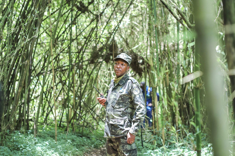 From Kigali: Bisoke Summit Trek, Crater Lake 1 Day Safari