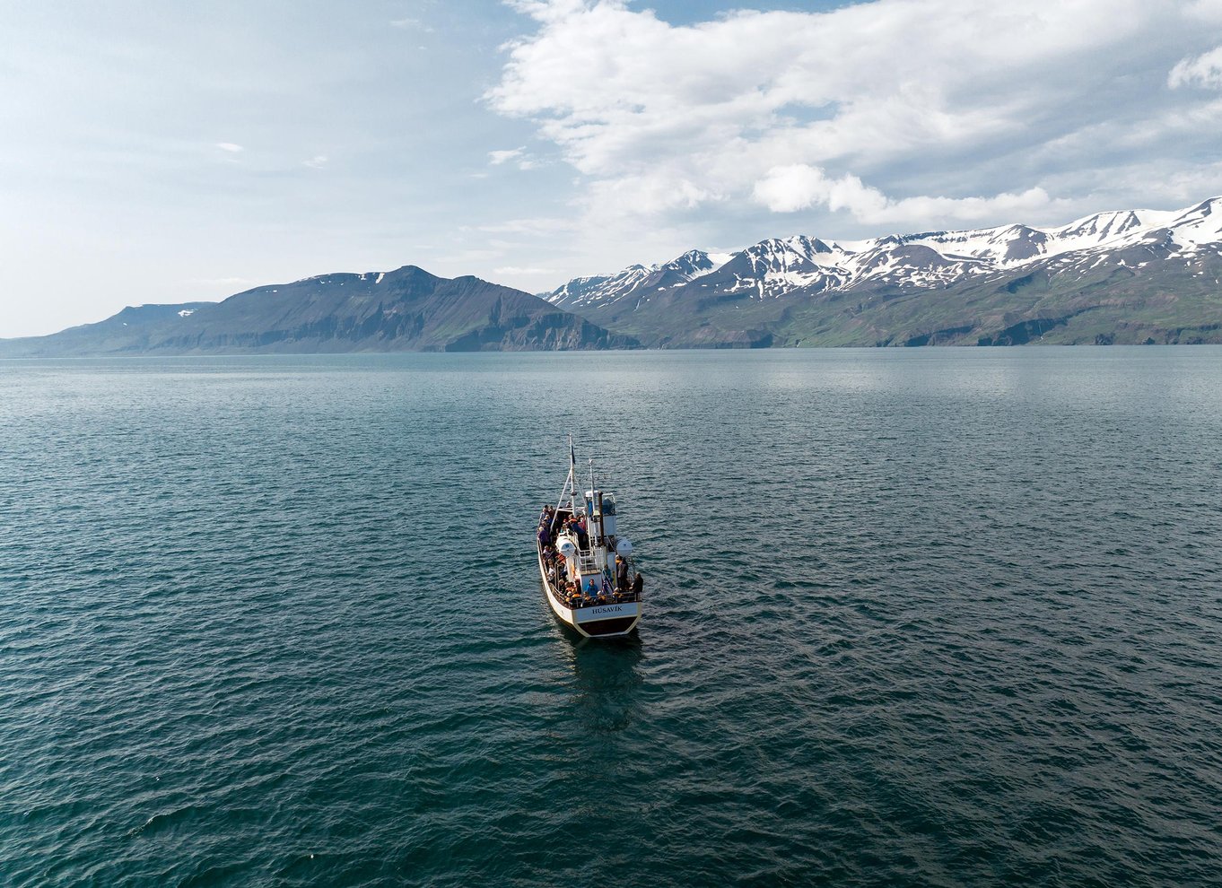 Húsavík: Traditionel hvalsafari