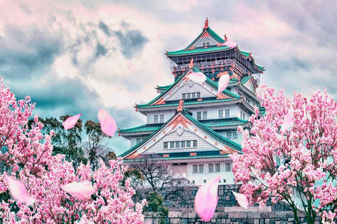 Osaka: esplora i tesori culturali con pick-up e guida privataOsaka: scopri i gioielli culturali con servizio di trasferimento e guida privata