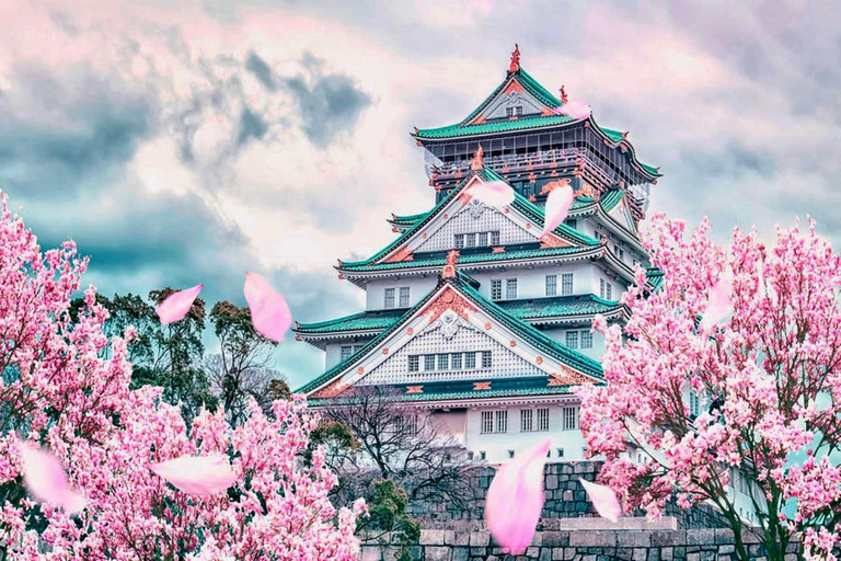 Osaka: Explore Cultural Gems with Pickup & Private Guide