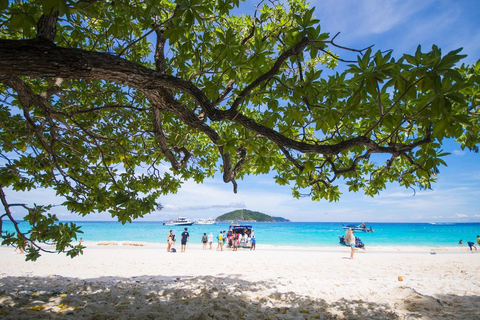 Phuket: Similan Islands Speedboat Tour with Lunch
