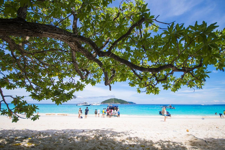 Phuket: Similan Islands Speedboat Tour with Lunch