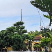 Hanoi Clan Culture: Temples, Ancestors & Family Stories