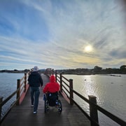 Jeju: Trip to Jeju Island in a Wheelchair (Accessible Tour) Jeju: Trip to Jeju Island in a Wheelchair (Accessible Tour)
