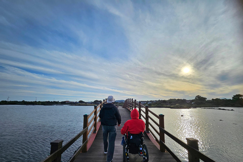 een reis naar het eiland Jeju in een rolstoel (WHEELCHAIR TOUR)