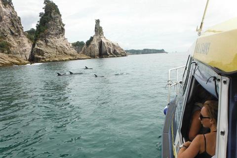 Whitianga: 2-Hour Glass Bottom Boat Cathedral Cove Tour