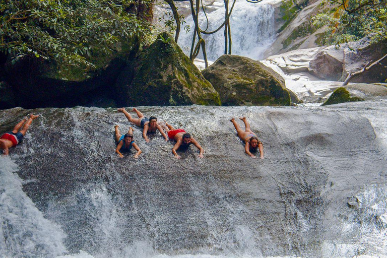 Cairns: 2-Day Atherton Tablelands & Cape Tribulation Tour