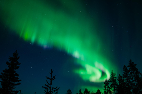 Tromsø: Excursión guiada a la Aurora Boreal con avistamientos garantizados