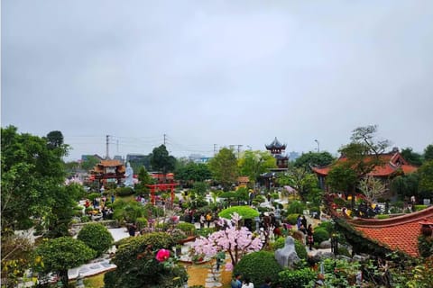 Ninh Binh Private Tour: Dia Tang Phi Lai, Chau son, trang an - Image 2