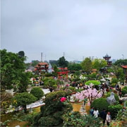 Ninh Binh Private Tour: Dia Tang Phi Lai, Chau son, trang an Ninh Binh Private Tour: Dia Tang Phi Lai, Chau son, trang an