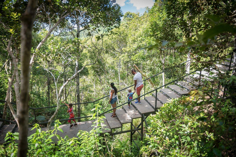South West Mauritius : Ebony Forest Nature Escape with Lunch Into the Wild South: Ebony Forest Nature Escape with Lunch