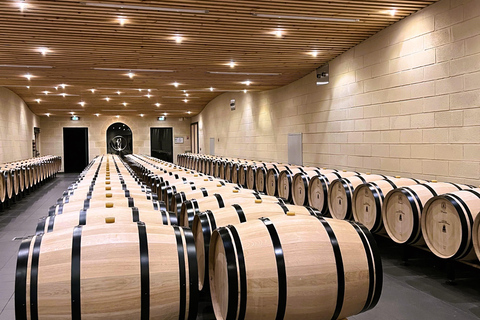 Bordeaux: Tour de vinhos com degustaçãoBordeaux: tour de vinhos com degustação