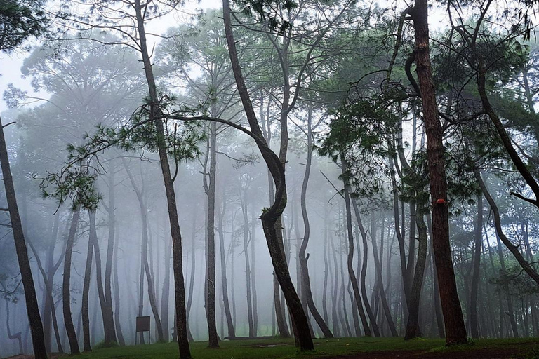 كاتماندو: رحلة مشي بصحبة مرشد إلى تلة تشامباديفي مع وجبة غداء