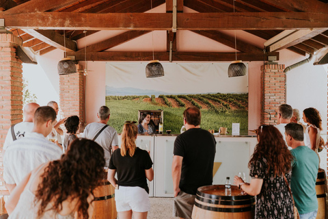 Logroño: guided tour + tasting of 3 wines at Viña Ijalba Logroño: Guided tour + tasting of 3 wines at Viña Ijalba