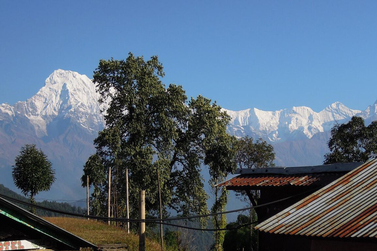 From Pokhara : 1 Night 2 Day Panchase trek