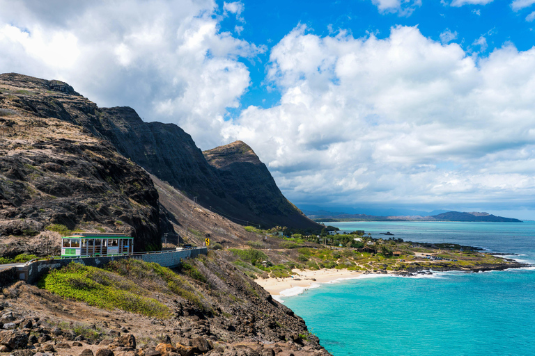 LeaLea Trolley 7 Line + Waikiki Trolley Pink Line 7 day Pass