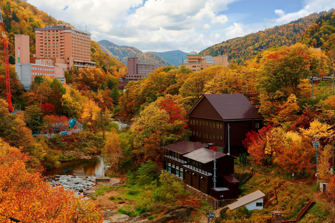 From Sapporo: Hoheikyo Dam, Jozankei & Lake Shikotsu Tour Shared Tour, Meet at Sapporo Station