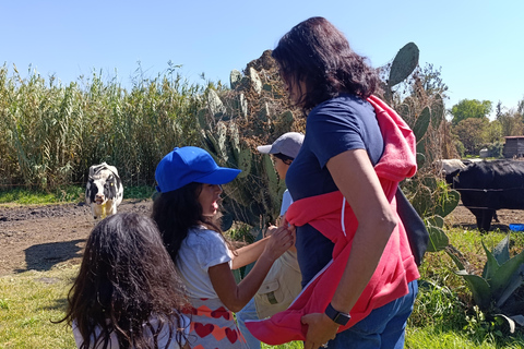 Xochimilco for kids and families