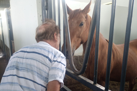 Addis Abeba: jazda konna, stajnie i kawa