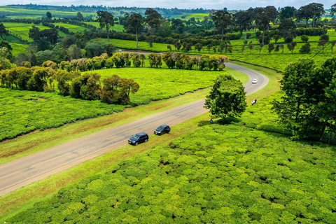 From Nairobi: Kiambethu Tea Farm Day Trip with Lunch