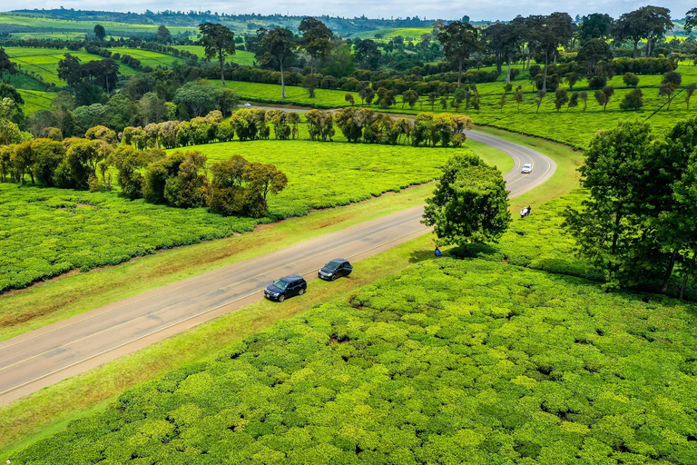 From Nairobi: Kiambethu Tea Farm Day Trip with Lunch