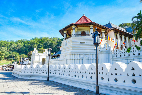 From Sigiriya: Kandy Transfer with Dambulla and Spice Garden