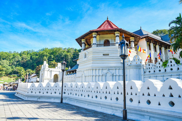 From Sigiriya: Kandy Transfer with Dambulla and Spice Garden