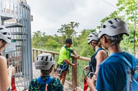 New Orleans, Sumpf Zipline Tour - Hizvo