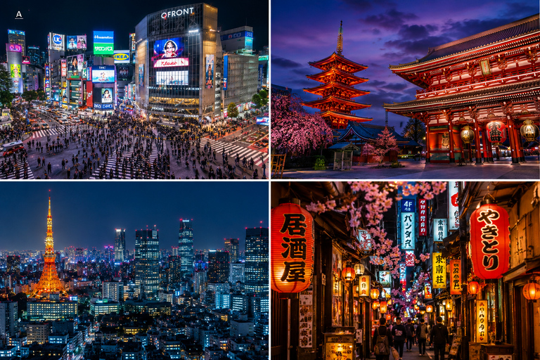 Tokyo: Private City Tour with Local Guide
