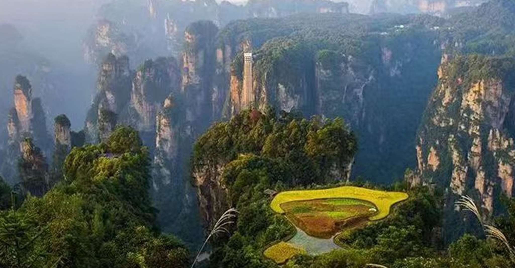 Private Day Tour to Zhangjiajie National Forest Park - Housity