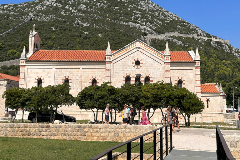 Oyster farm experience-private day trip from Dubrovnik