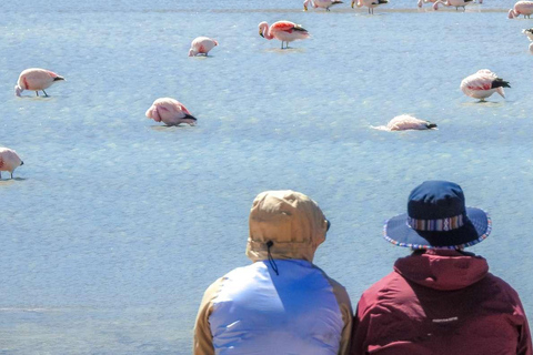 Z La Paz: Uyuni Salt Flats 5-dniowa wycieczka