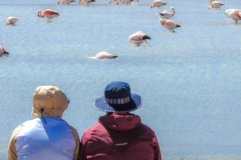 Depuis La Paz : Circuit de 5 jours dans les salines d&#039;Uyuni