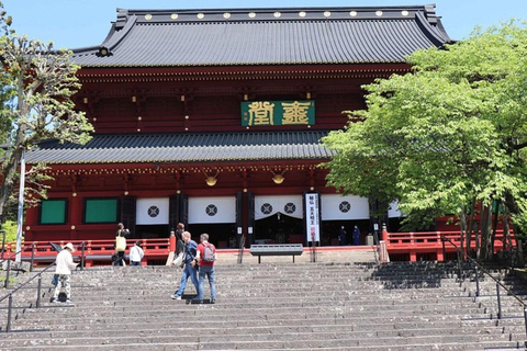 Aventura de Élite en Nikko: Tour guiado privado