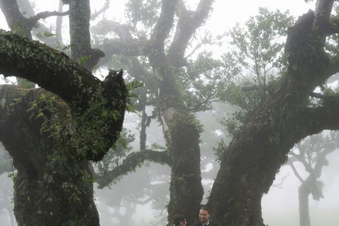 Madeira Photo Tour with a Private Photographer