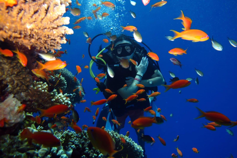 Hurghada: Scuba Diving cruise with lunch & pickup Single Beginner introduction dive with pickup and lunch