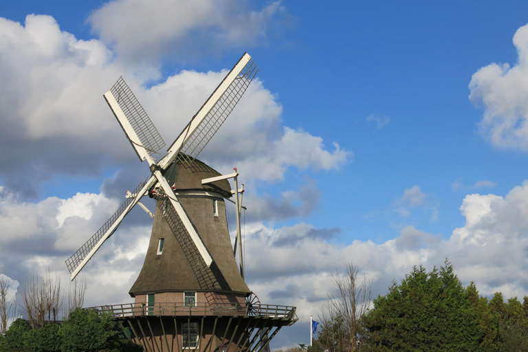 Amsterdã: Tour guiado pelo moinho de vento