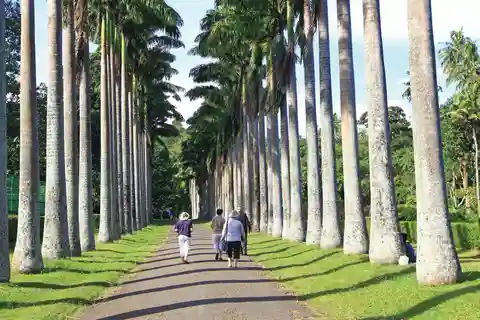 Memorable Tuk Tuk City Tour of Kandy