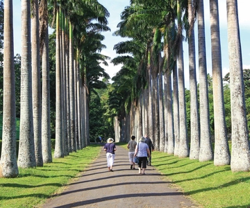 Memorable Tuk Tuk City Tour of Kandy