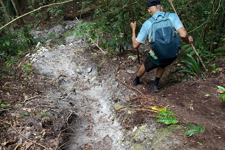 Kedah: Magnificent Jerai Multi Waterfalls Hunt & Jungle Trek Hippo: Challenging Canyon Loop (8km | 10 falls)