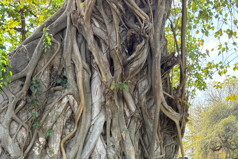 Ayutthaya UNESCO Heritage Tour by VIP Van