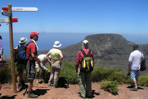 La Gomera : Randonnées guidées depuis Valle Gran ReyLa forêt tropicale le mercredi