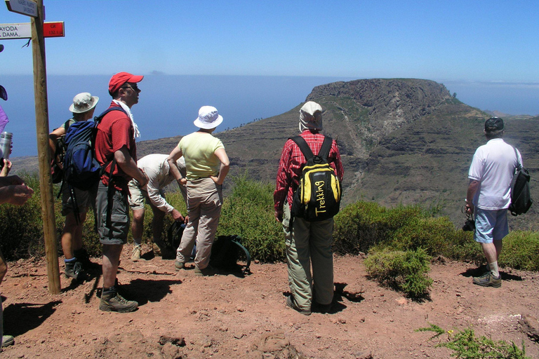 La Gomera: Wandeltochten met gids vanuit Valle Gran ReyDe Tafelberg op vrijdag