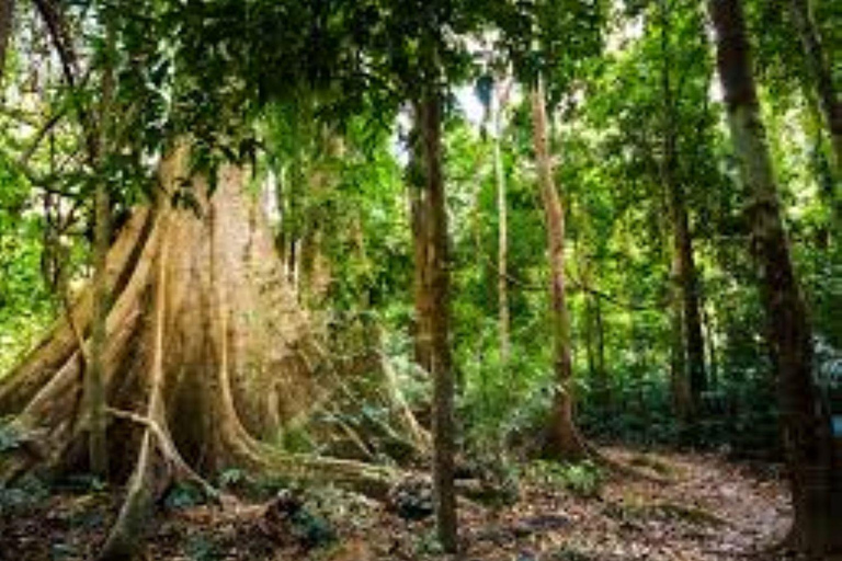 Krabi: Jurassic World Location Filming & Options ATV, Kayak Jurassic World Location Filming+Elephant Feeding+Kayaking